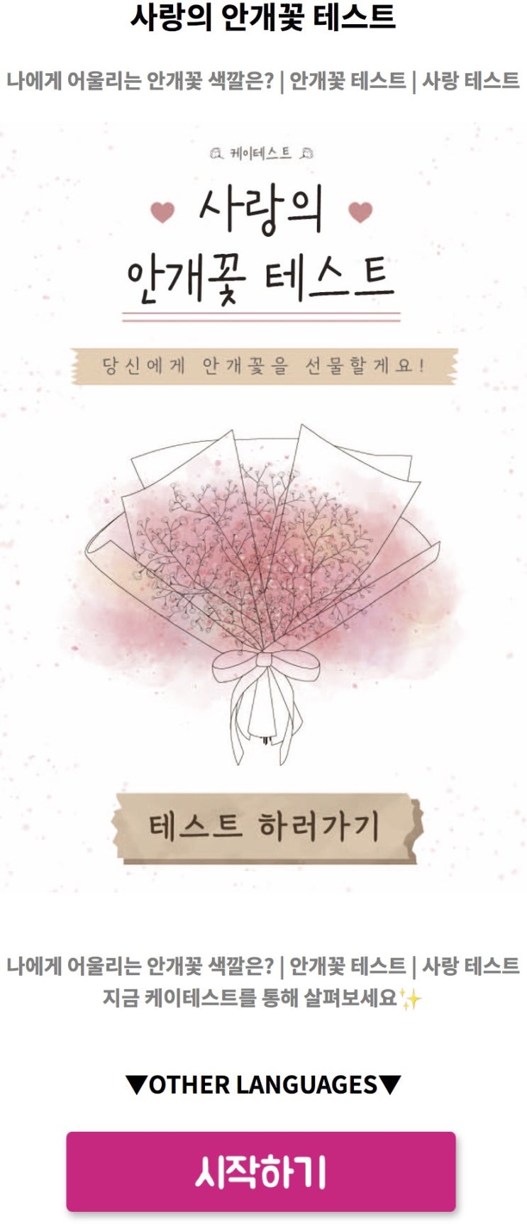  사랑의 안개꽃 테스트, 나에게 어울리는 안개꽃 색깔은 무엇일지 알아보기!