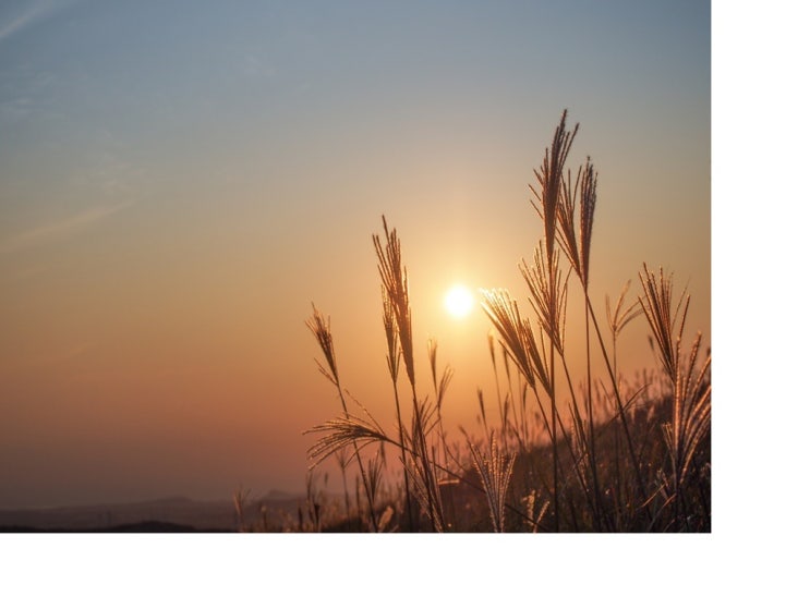    [제주 한림 협재 맛집] 한림웅담 제주협재점 아침 메뉴 추천 내돈내산 솔직후기  부부의 한림 데이트 – 제주에서 맛과 분위기를 즐기다
