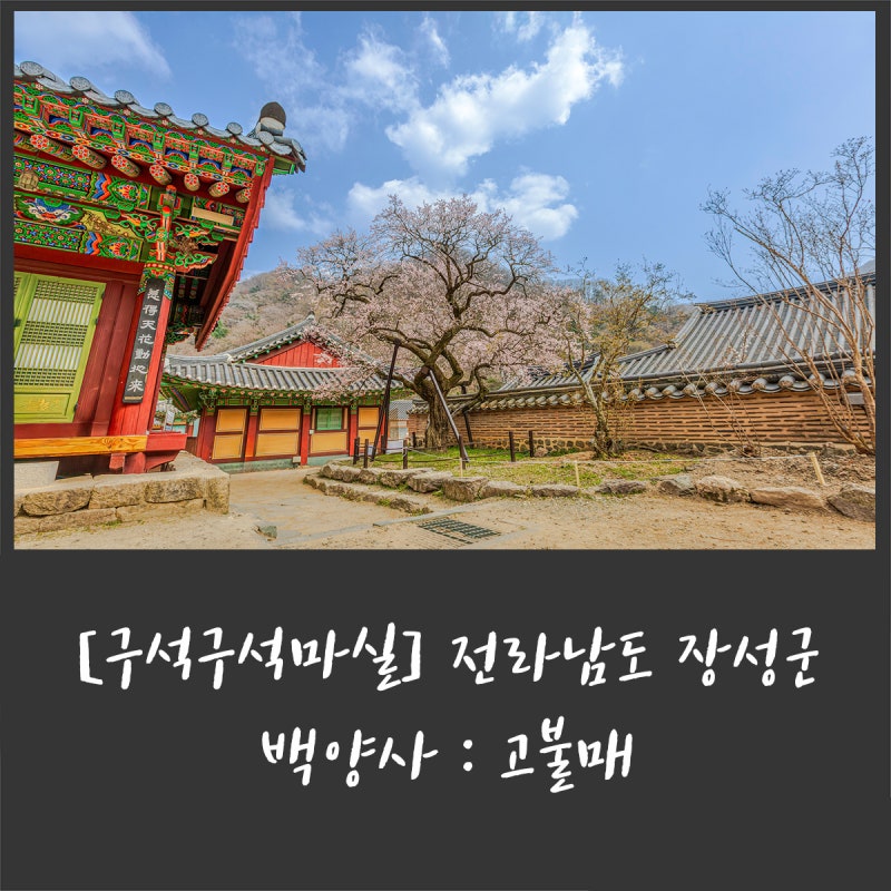 사진 5