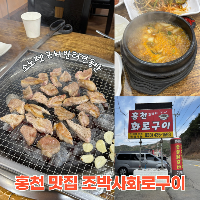  홍천 비발디파크 맛집 조박사화로구이 소노펫 애견동반 고기집