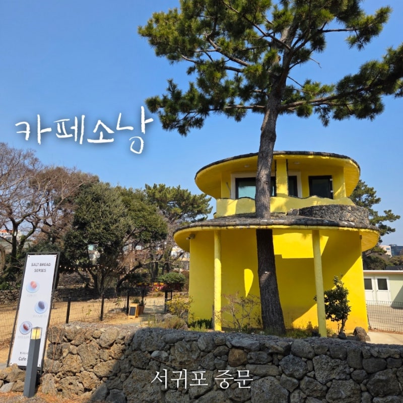 사진 3