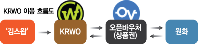  규제공백에 '상품권 연동' 원화 스테이블 우회 발행
