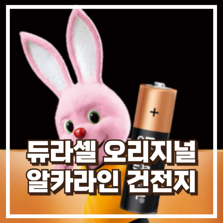  듀라셀 오리지널 알카라인 건전지 보관박스팩 AA 20p + AAA 20p 리뷰, 할인정보