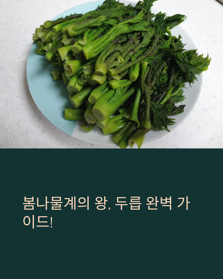  두릅 손질부터 삶는 법까지! 비린내 없이 데치는 꿀팁