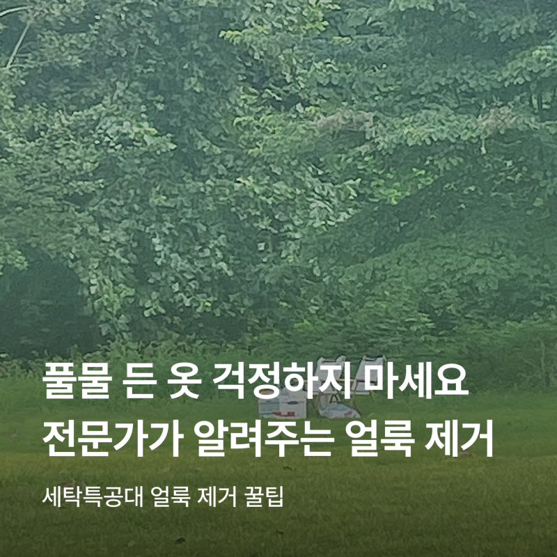 식목일에 벌초 가는 사람들 주목! 풀물 든 옷 세탁하는 방법