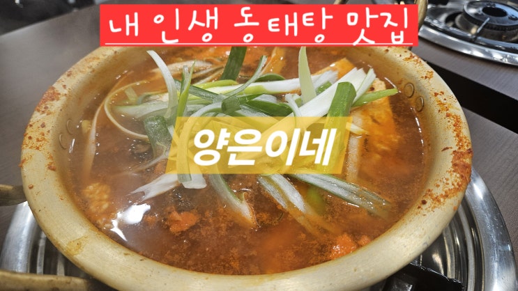  [부천 동태탕 맛집] 송내역 양은이네에서 얼큰하게 한 끼! 점심식사 강력 추천