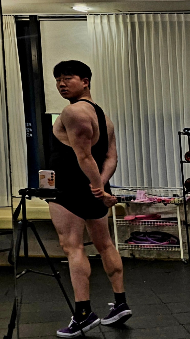 헬린이에서 헬스로거로 이두 삼두 팔 체형 분석 운동 루틴 헬린이에서 헬스로거로 이두 삼두 팔 체형 분석 운동 루틴