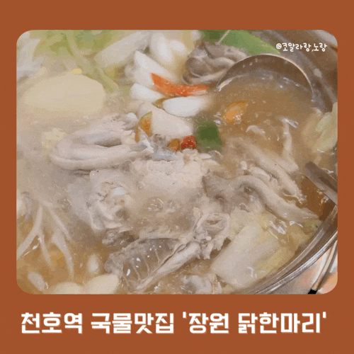  강동구청역&천호역 국물맛집 비 오는 날엔 장원닭한마리
