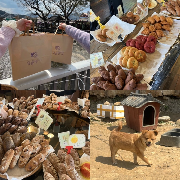  구례빵지순례 목월빵집 평일 14시에 간 후기(빵예약,주차장 강쥐들)