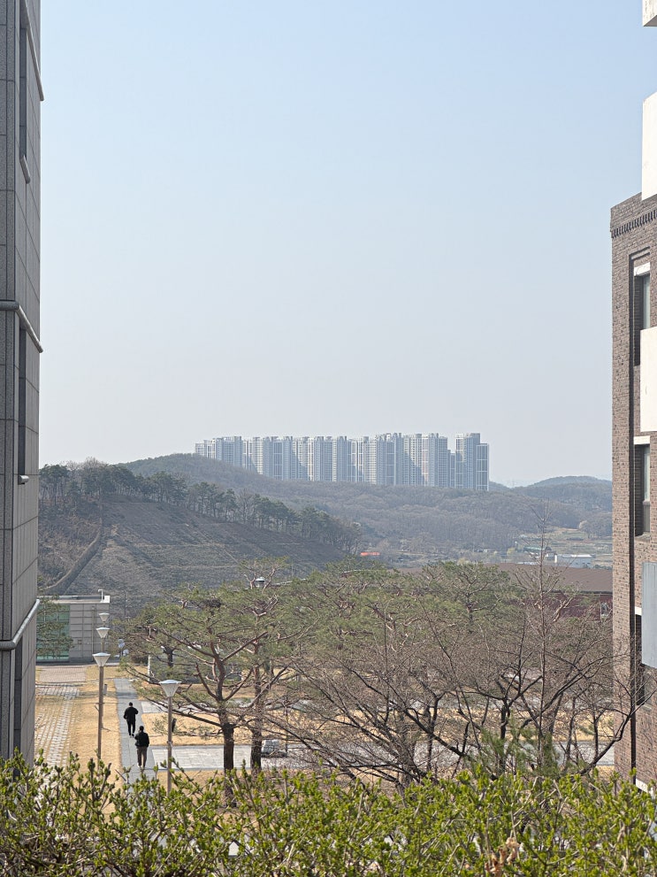  화훼장식기능사 필기, 책없이 10시간 공부로 합격