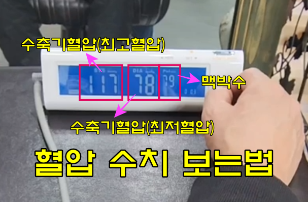  수축기혈압 이란? 이완기혈압 뜻