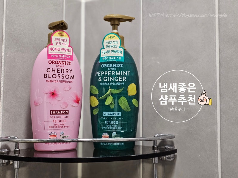 냄새 좋은 샴푸 추천 오가니스트 체리블라썸 & 페퍼민트 비듬쿨링 샴푸