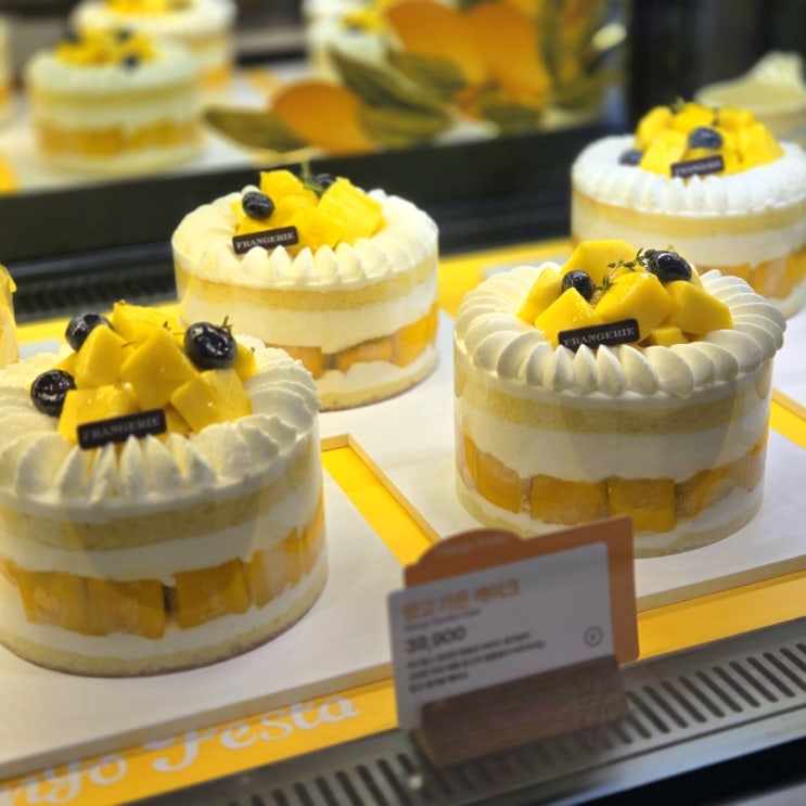  서울 가성비 빵집 맛집, 프랑제리 망고 페스타