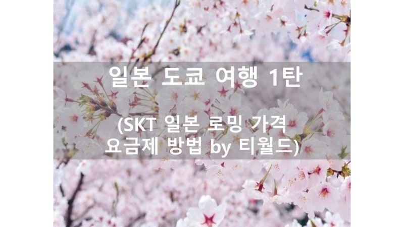 SKT 일본 로밍 가격 요금제 방법 (바로요금제 가족 티월드 로밍)