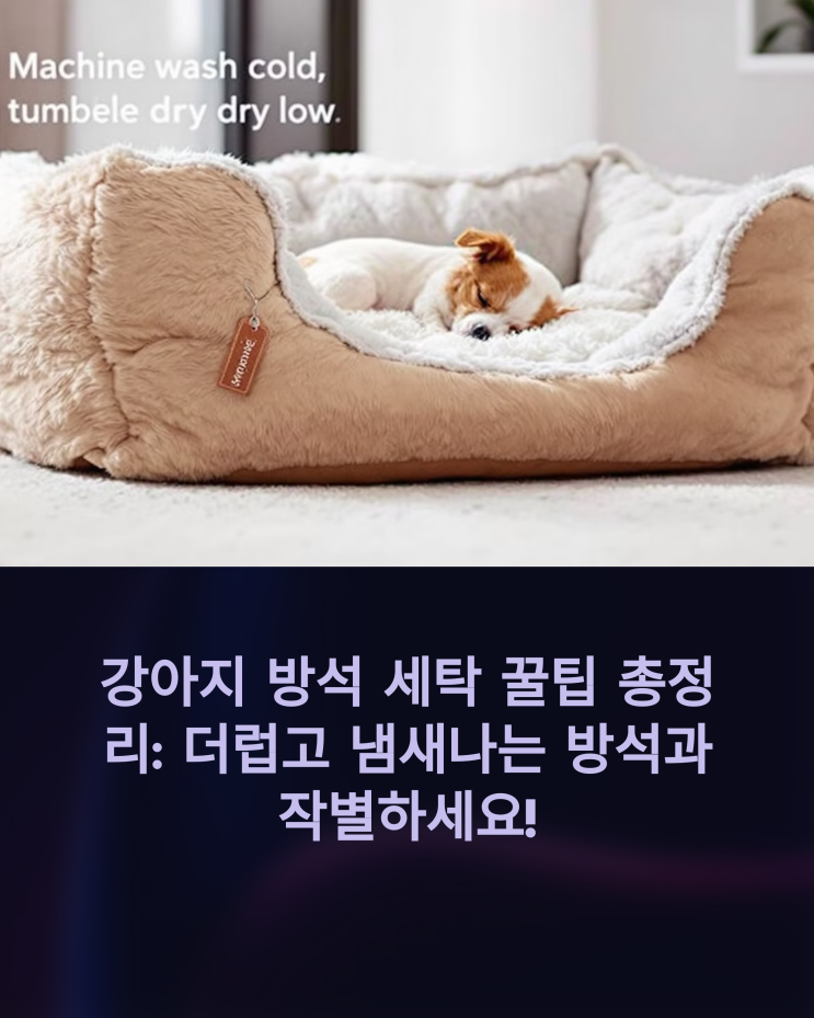  강아지 방석 세탁 꿀팁 총정리