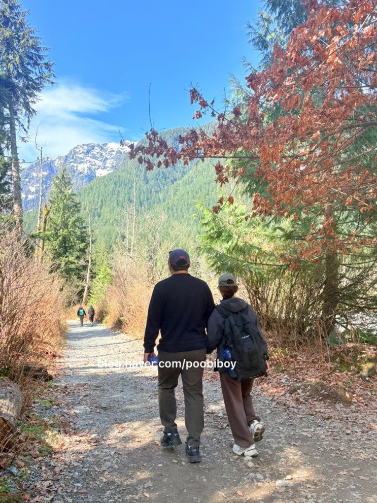 캐나다 벤쿠버 골든이어스 주립공원( Golden Ears Provincial Park)