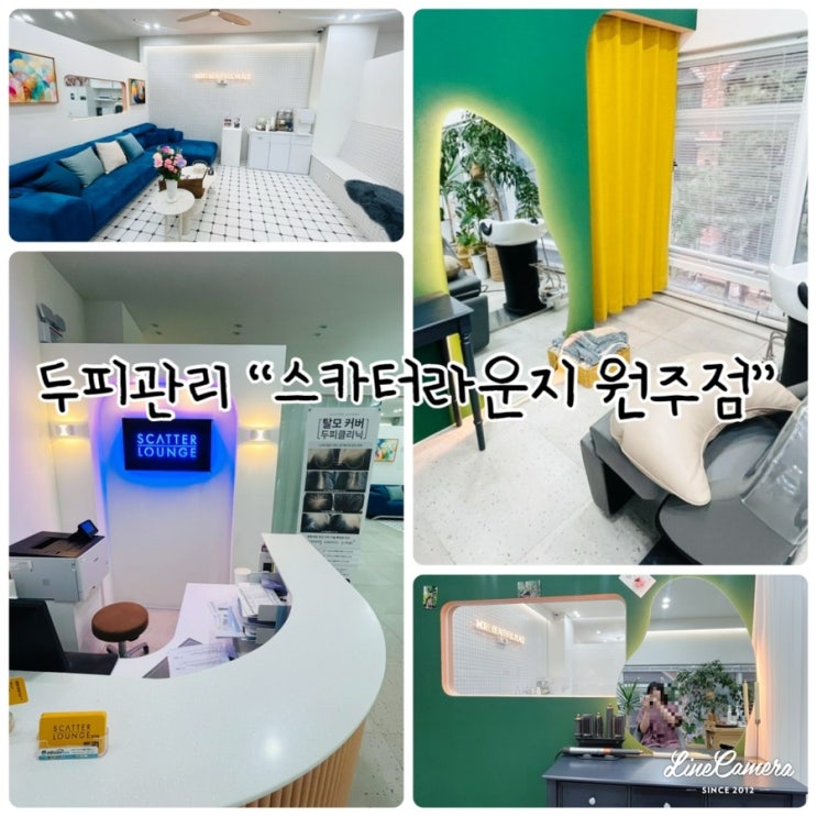  원주 두피관리 "스카터라운지 원주점" 베이직 두피 밸런스 테라피 받고왔어요