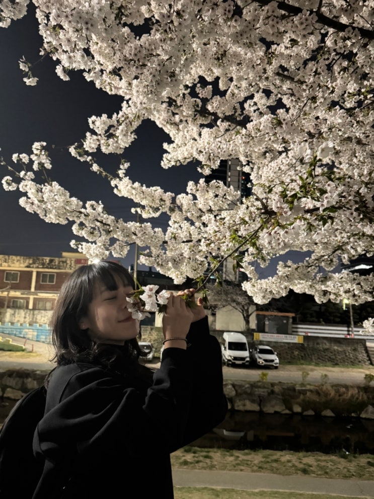  제목