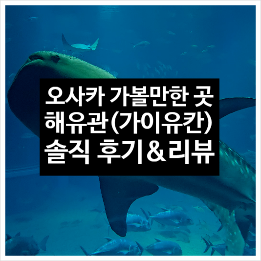  오사카 수족관 해유관 가이유칸 솔직 후기 고래상어 아쿠아리움
