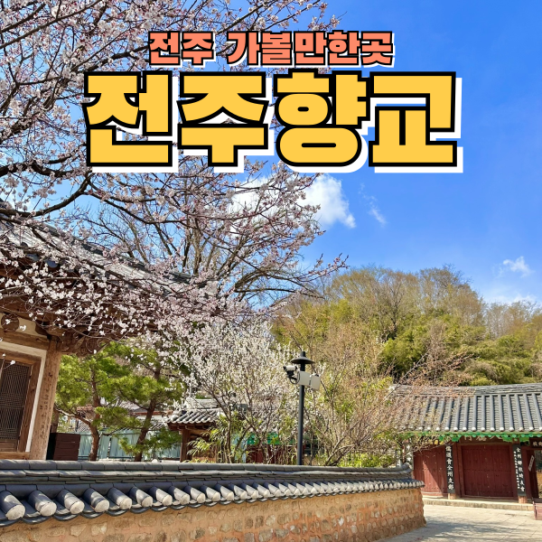  전주가볼만한곳 전주향교 산수유 벚꽃사진찍기 좋은 곳 주차꿀팁