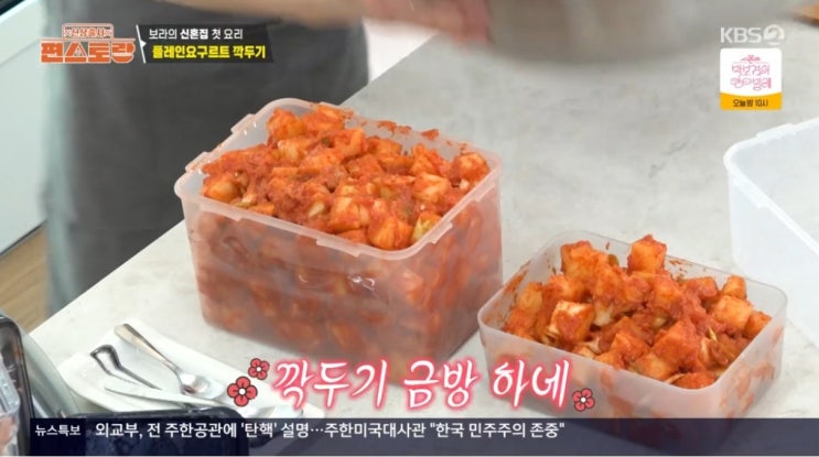  남보라 플레인 요구르트 깍두기 레시피 편스토랑 깍두기 만들기