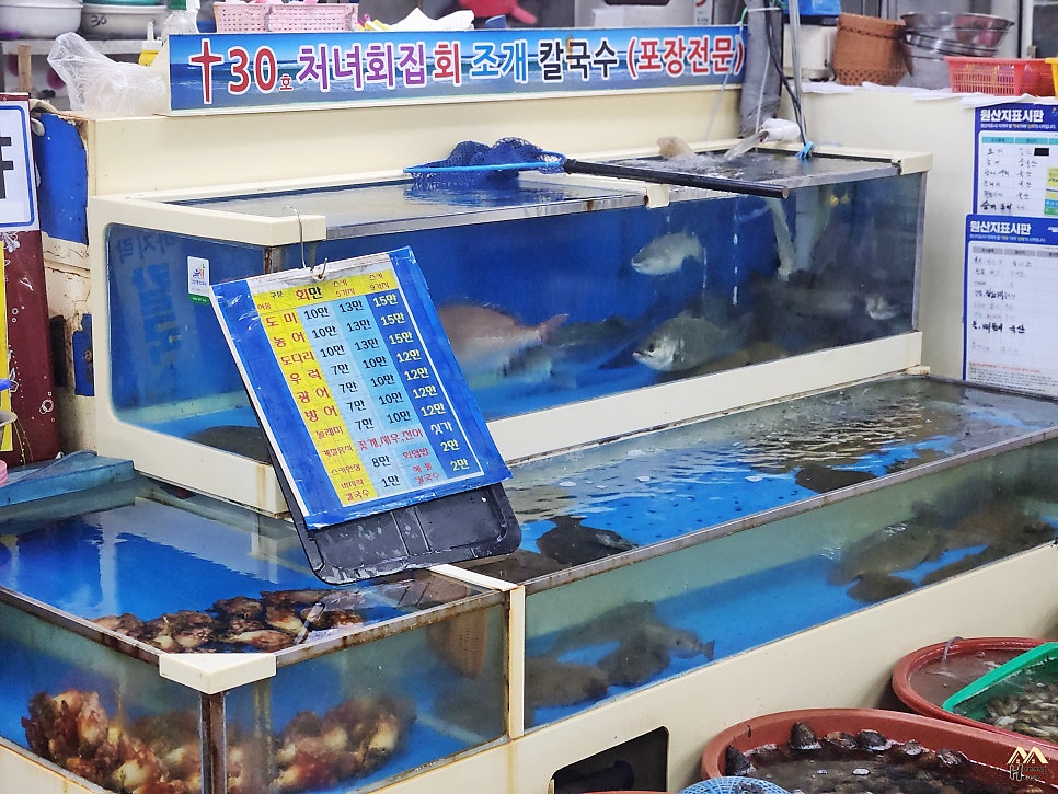 처녀회집 사진 6