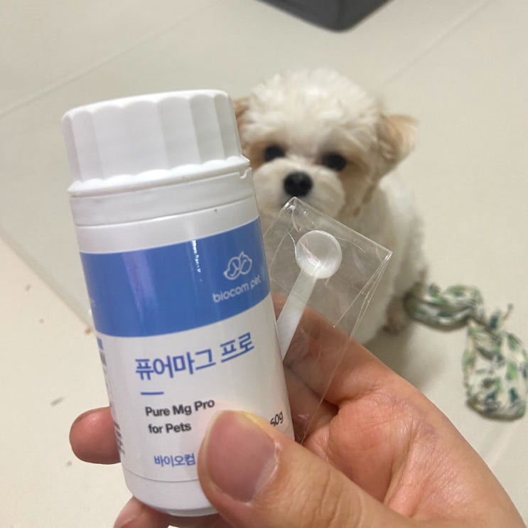  강아지 종합영양제 추천 퓨어마그프로