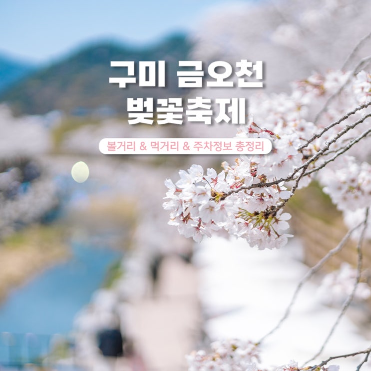  구미 금오천 벚꽃축제 개화상황 볼거리 주차