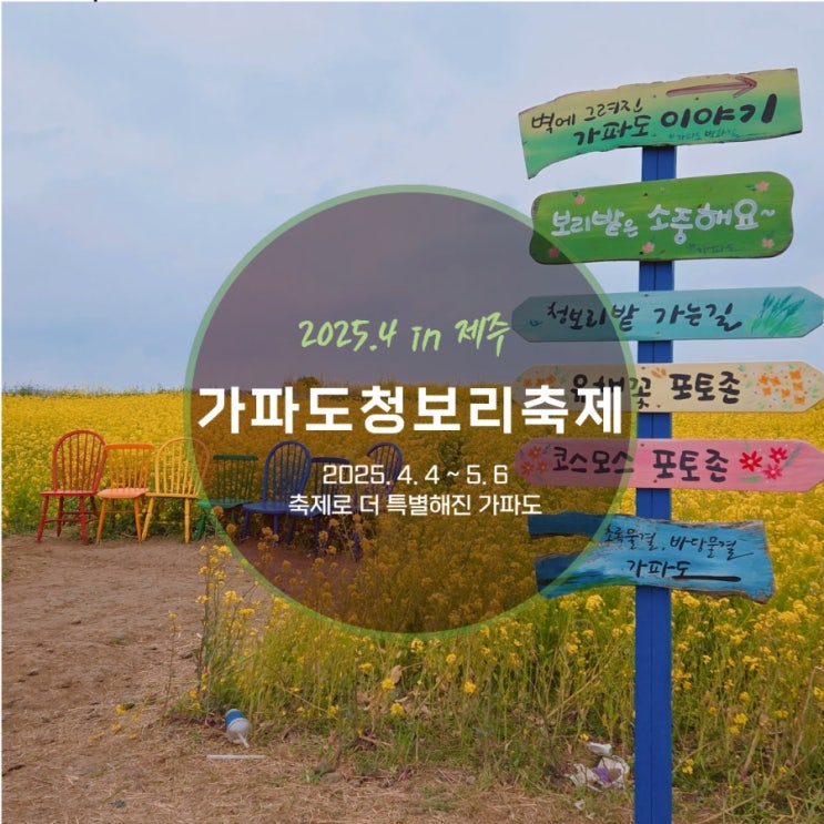  2025.04.05 일찍 다녀온 14회 가파도 청보리 축제 후기 총정리