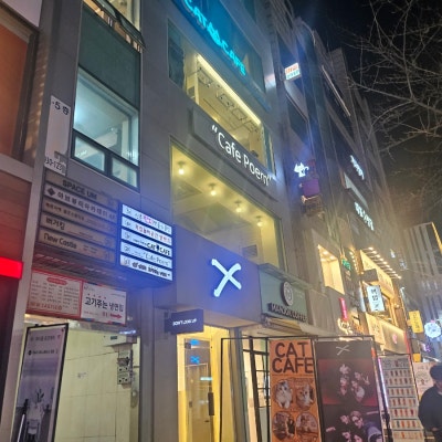 사진 3