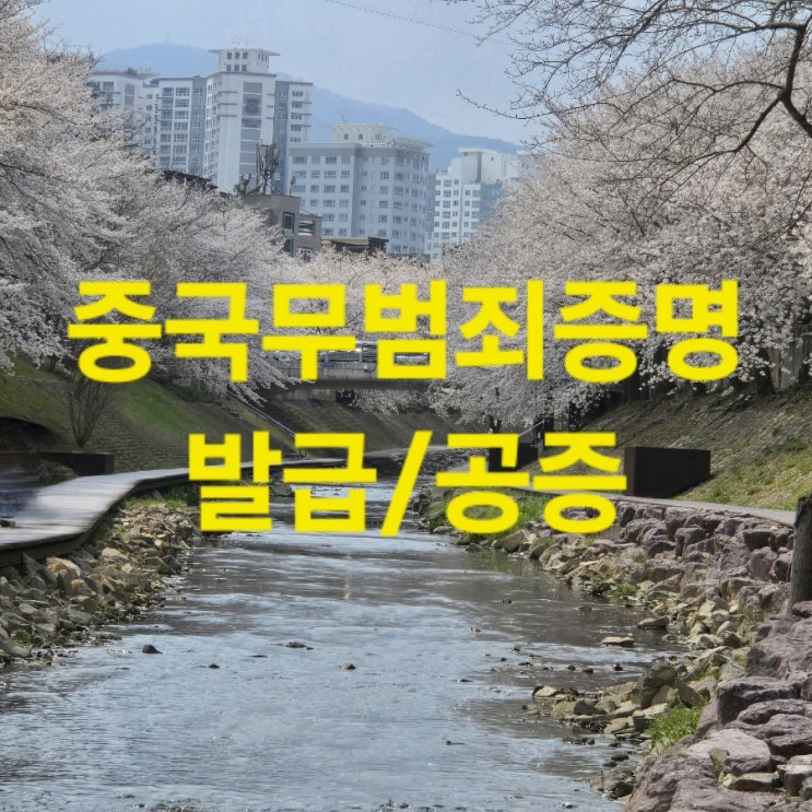  중국무범죄증명 발급