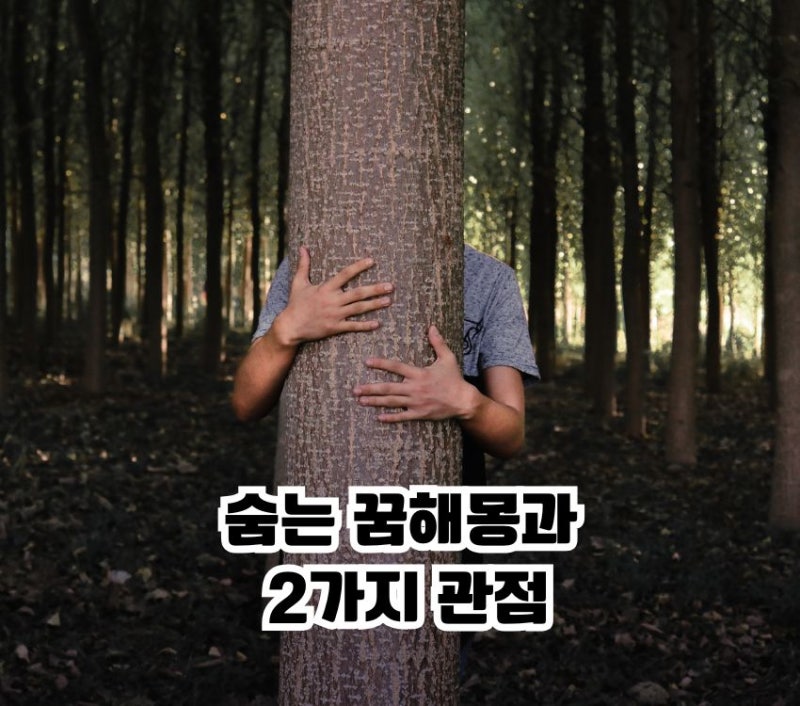 숨는 꿈 해몽과 2가지 관점