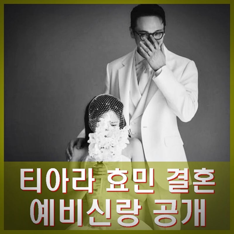 티아라 효민 결혼 예비신랑 공개 직업 나이 등 프로필, 인스타