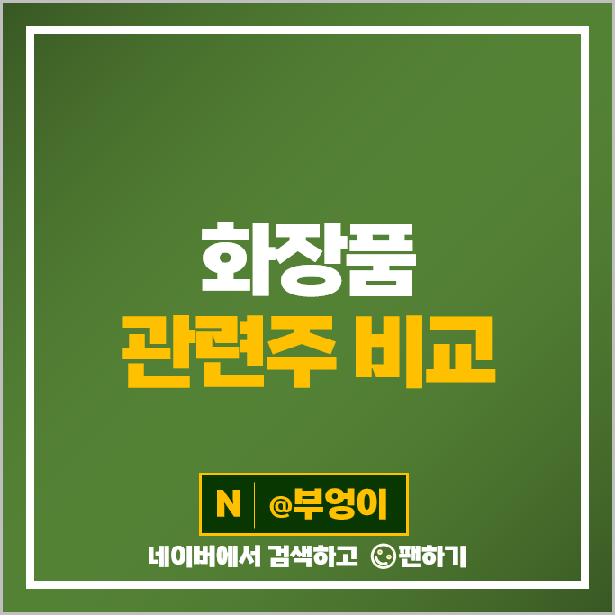 피부미용 화장품 관련주 한국콜마 잇츠한불 아모레G 클래시스 주가 파미셀 주식 피부미용 화장품 관련주 한국콜마 잇츠한불 아모레G 클래시스 주가 파미셀 주식