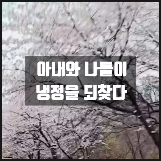 아내와 나들이 냉정을 되찾다 아내와 나들이 냉정을 되찾다