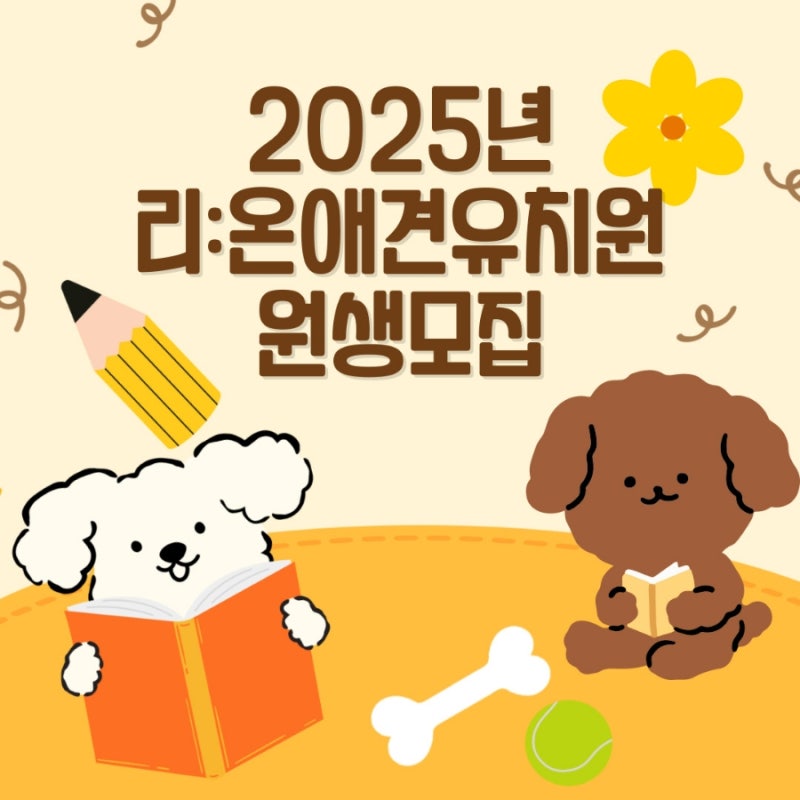 사진 2