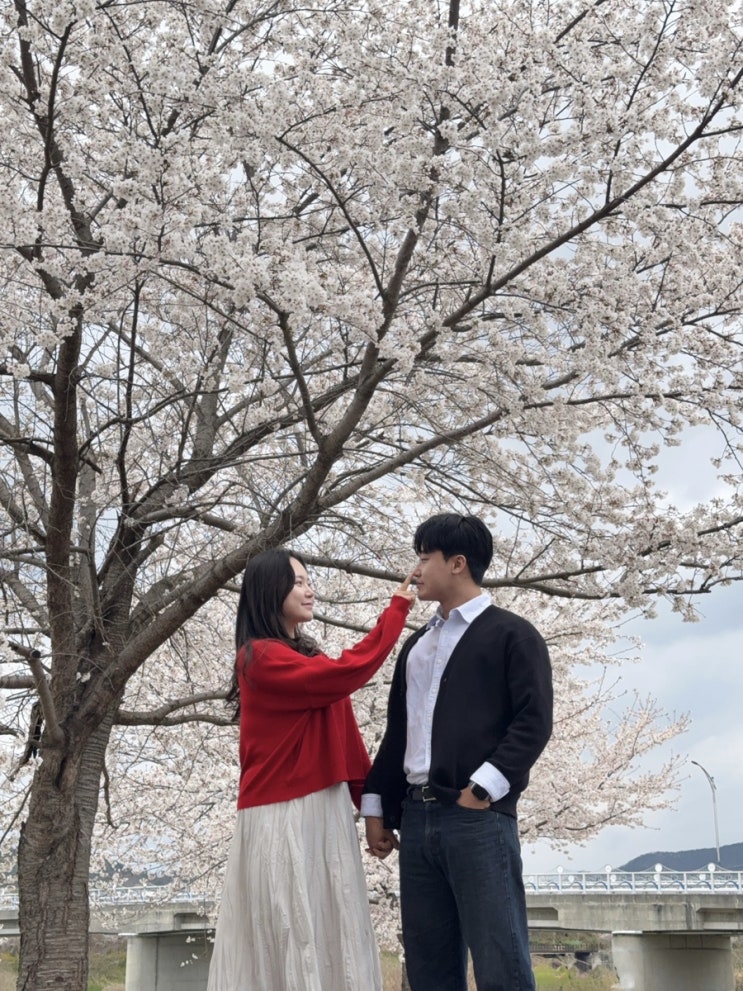  [2025.04] 봄 인듯 겨울 인듯 오락가락 했던 사월