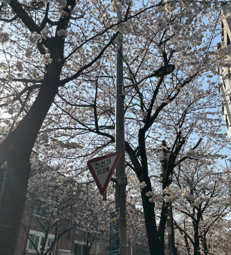  시간의 체감 속도는 집중도