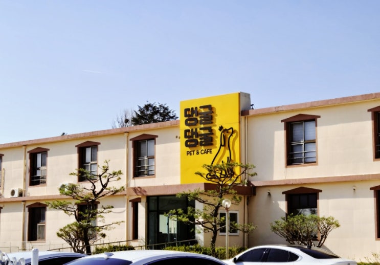  내돈내산/주말 나들이 댕굴댕굴 애견카페