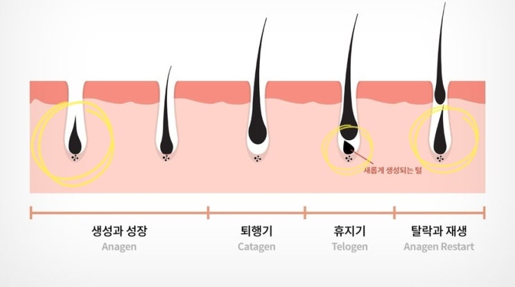  13년차 왁싱전문샵에서 알려주는 왁싱 이야기 _ 울산 삼산동 부산 광안동 아쿠아왁싱 앤 스킨