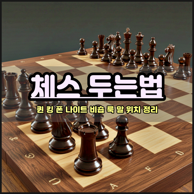  체스 두는법 킹 퀸 룩 나이트 비숍 폰 말 위치 정리
