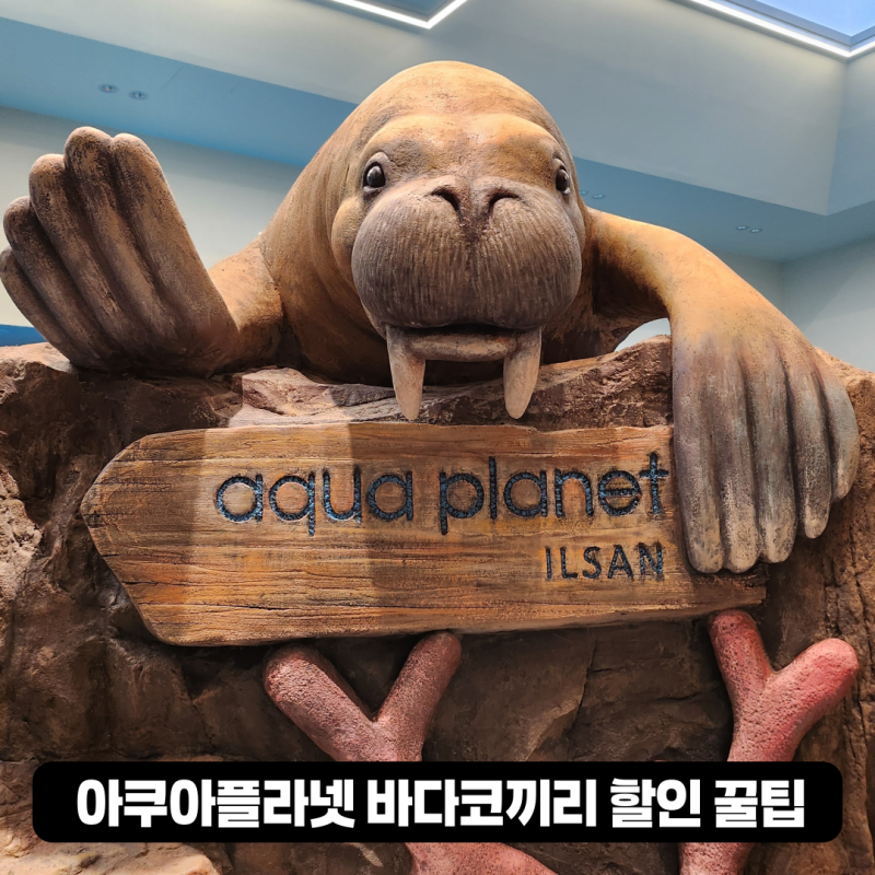 일산 아쿠아플래닛 바다코끼리 할인 꿀팁