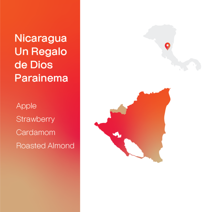  [생두 & 로스팅 리뷰] - 니카라과 운 레갈로 데 디오스 파라이네마 내추럴 - Nicaragua Un Regalo de Dios Parainema Natural