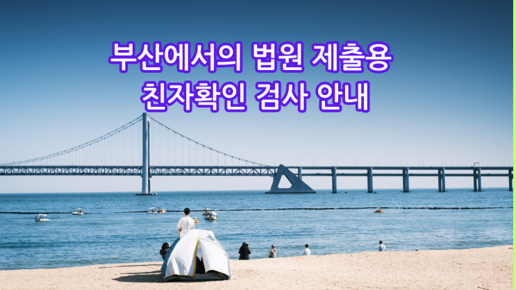  부산에서의 법원 제출용 친자확인 검사 안내