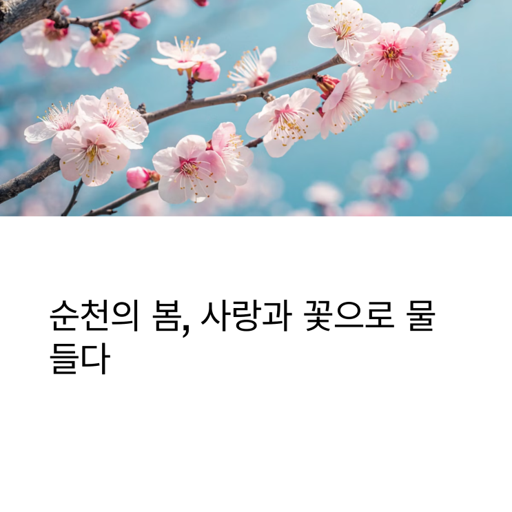  순천 북음교회와 홍매화 마을, 봄을 제대로 느낄 수 있는 데이트 코스