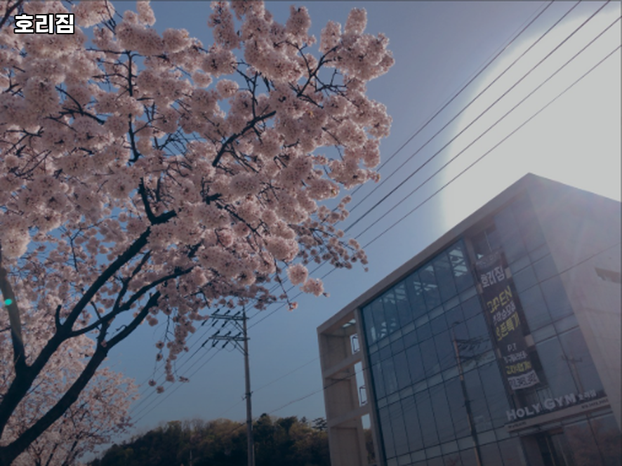 호리짐 사진 5