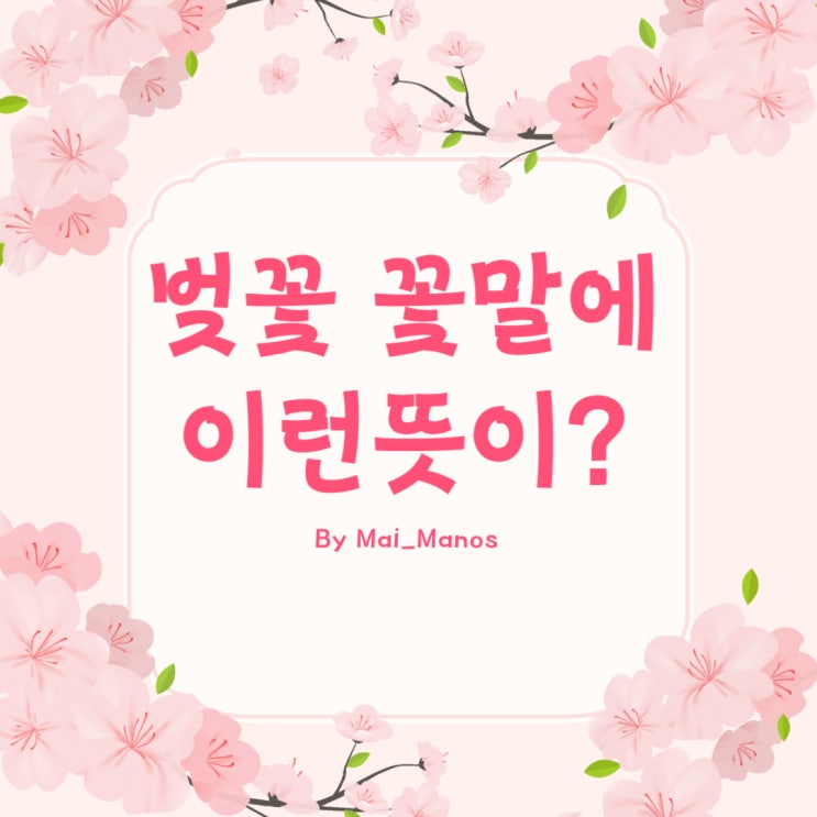  벚꽃 꽃말과 뜻 재미있는 유래 역사와 원산지 이야기