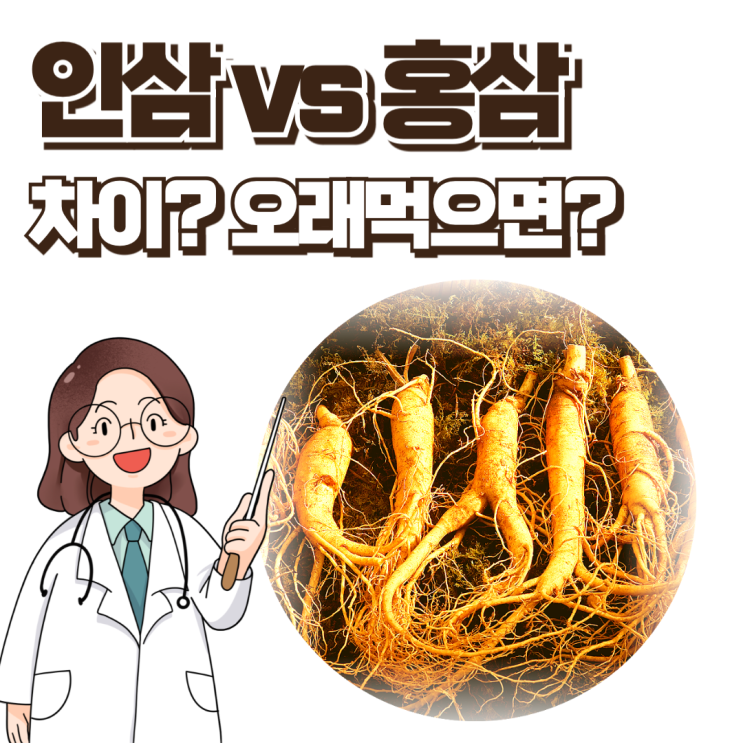  인삼 홍삼 차이 효능? 어떤 사람에게 맞을까요?