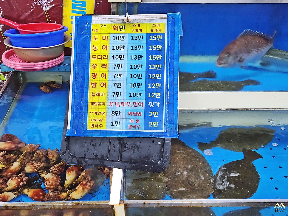 처녀회집 사진 5