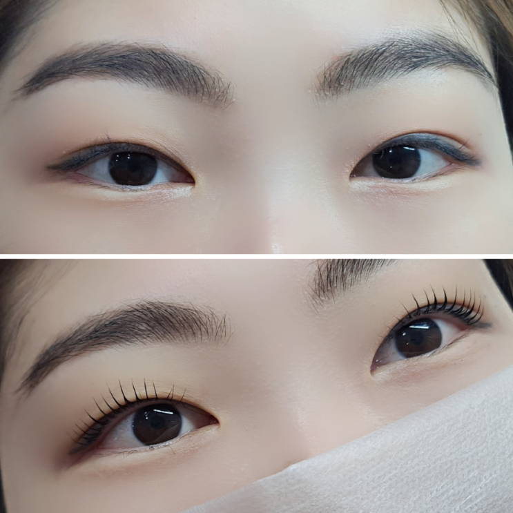  고잔동 속눈썹 잘하는 곳 모아이래쉬 프리미엄 블랙펌 후기
